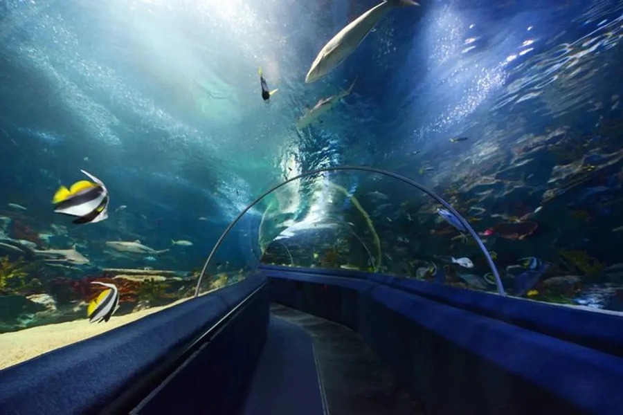 آکواریوم سی لایف ملبورن